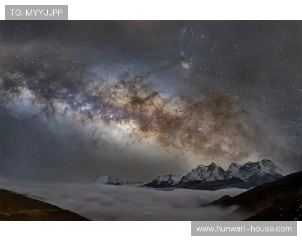 星空官方网站为爱好者提供的丰富资源与服务 星空官方网站为爱好者提供的丰富资源与服务