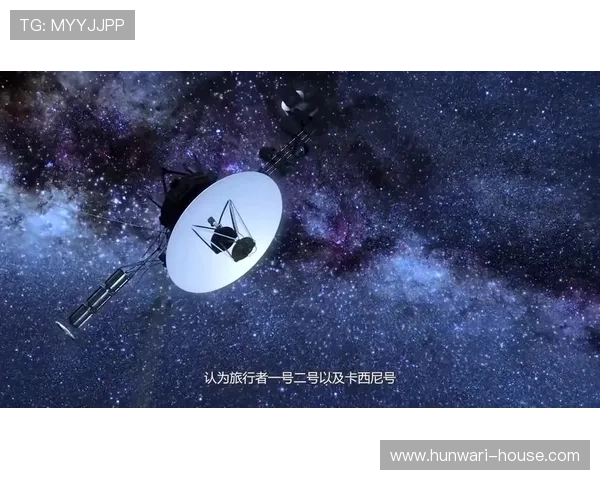 星空体育官方旗舰店专业运动器材购货指南与用户评价分析