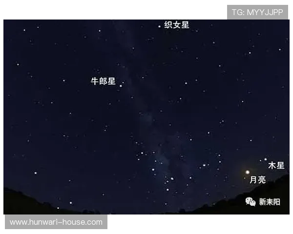 星空娱乐客服快速响应机制确保您的每一个投诉都能得到及时处理